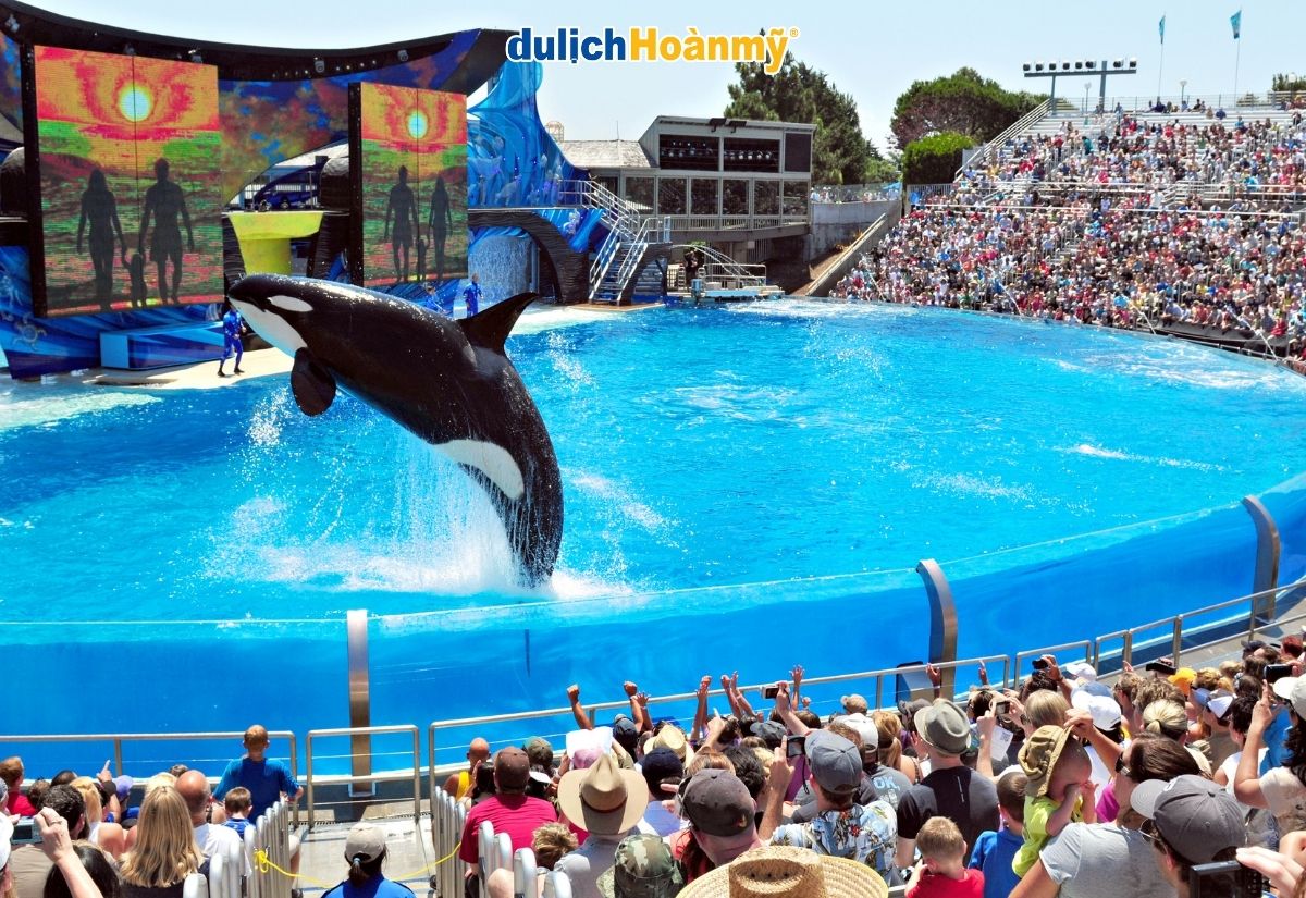 seaworld san diego