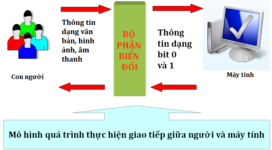 THCS NGUYỄN HUỆ