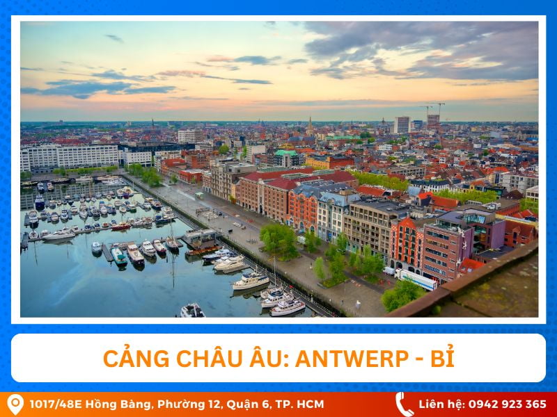 cang bien antwerp bi