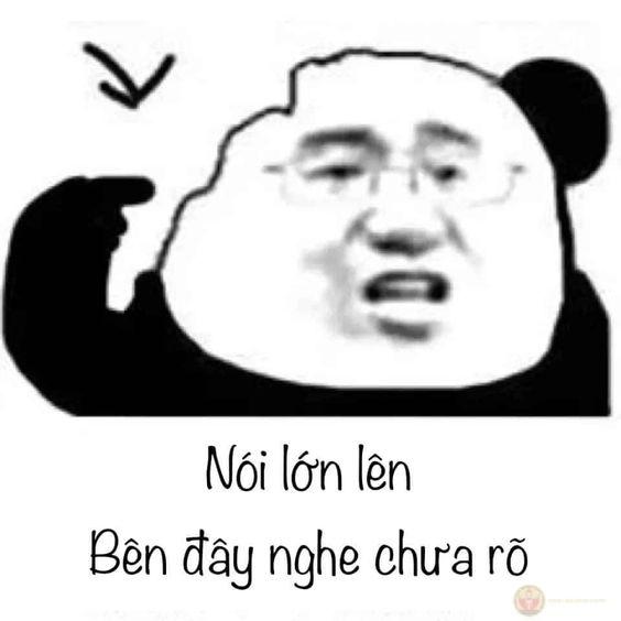 Meme gấu trúc yêu