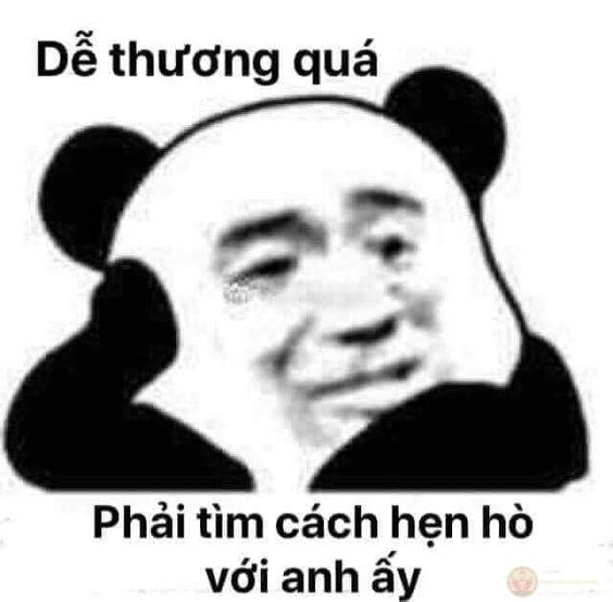 Meme con gấu trúc