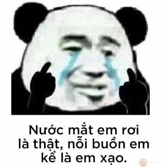 Hãy dịu dàng với gấu trúc, vì meme đã đủ sát thương