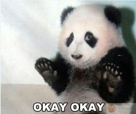 Một chút dịu dàng mỗi ngày làm gấu dễ thương hơn