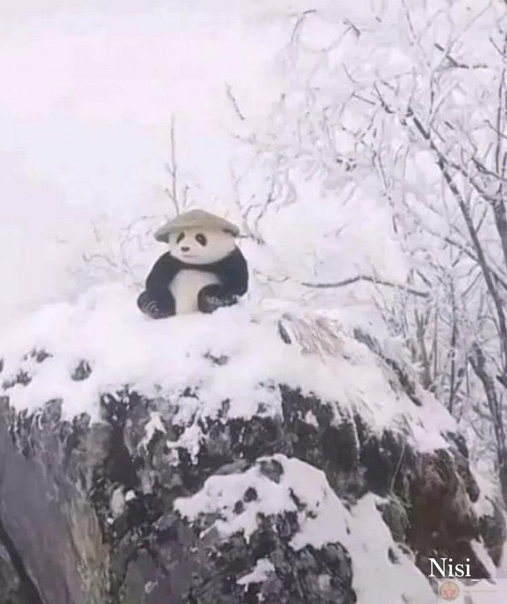 Nếu không thể yêu thương, xin đừng làm tổn thương