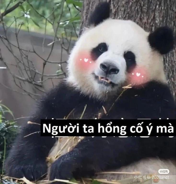 Người ta hổng cố ý mà