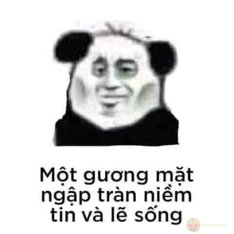 Tui không nhạt, chỉ là người ta không hiểu vị