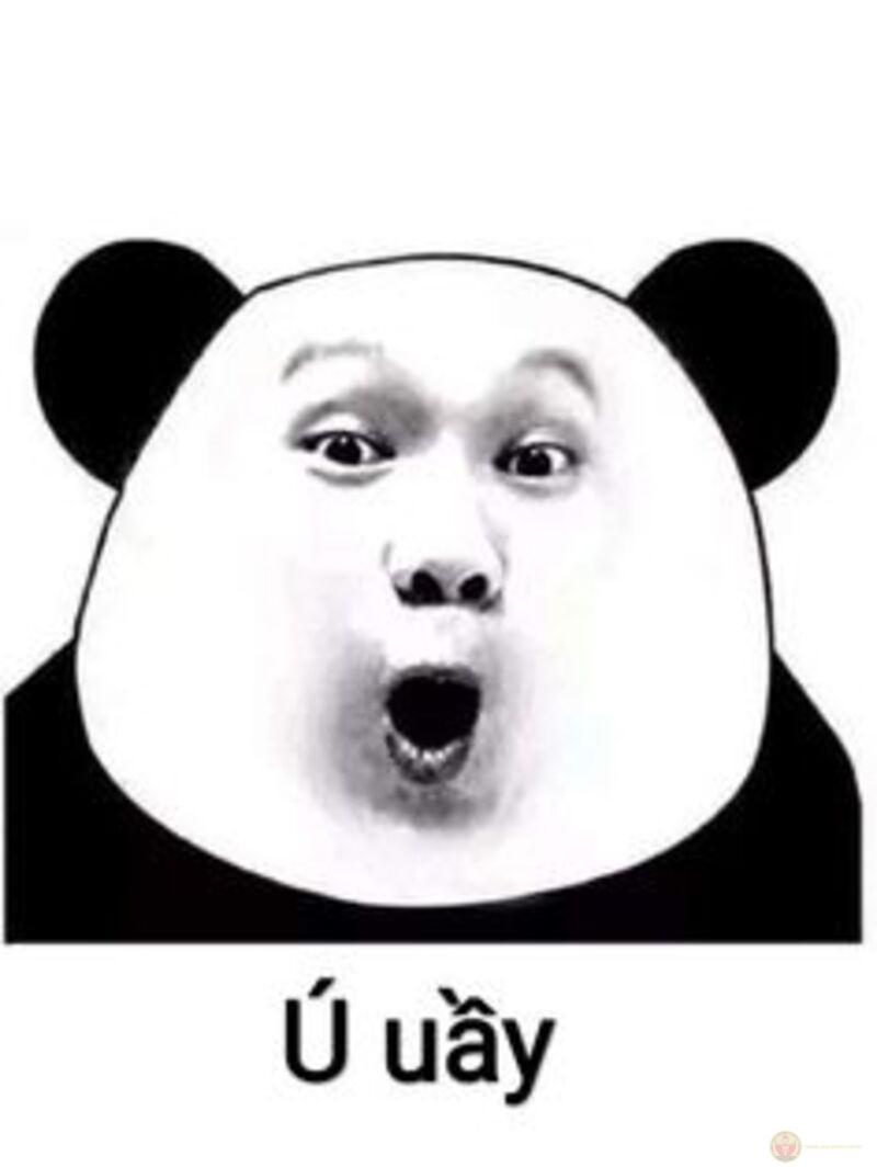 Tui có đáng yêu không, hay chỉ đáng nghi?