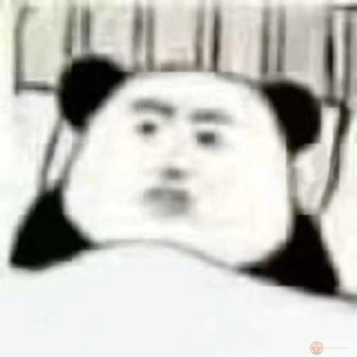 Một chút tinh tế giúp hiểu gấu trúc nhiều hơn