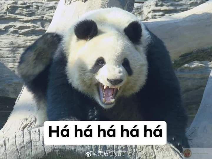 Tui không giận ai, chỉ là muốn một mình thôi