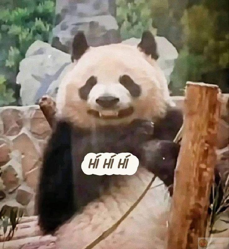 Đôi lúc cần im lặng để cảm xúc tự lành lại