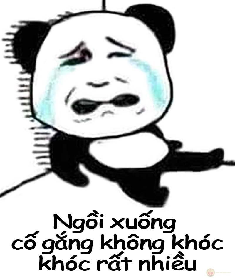 Gấu trúc không nói nhiều, chỉ hành động chính xác