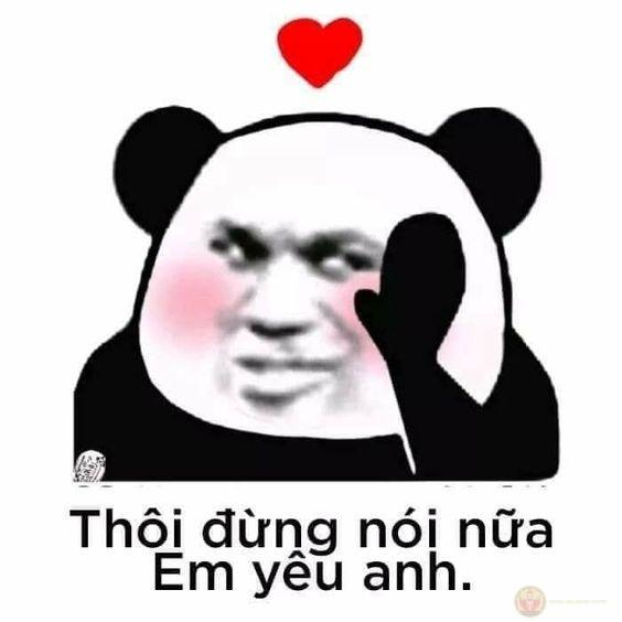 Gấu trúc không lạnh lùng, chỉ là ngại phát cẩu lương