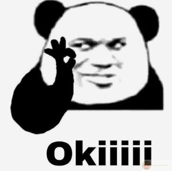 Gấu trúc meme mắt thâm