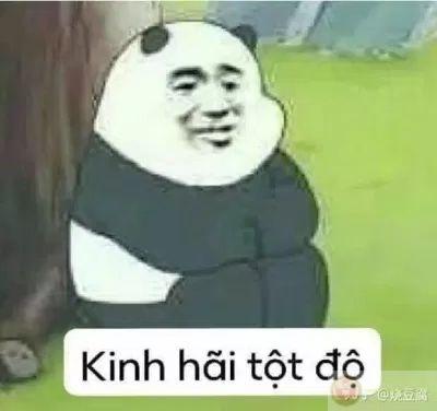 Meme gấu trúc bựa Trung Quốc