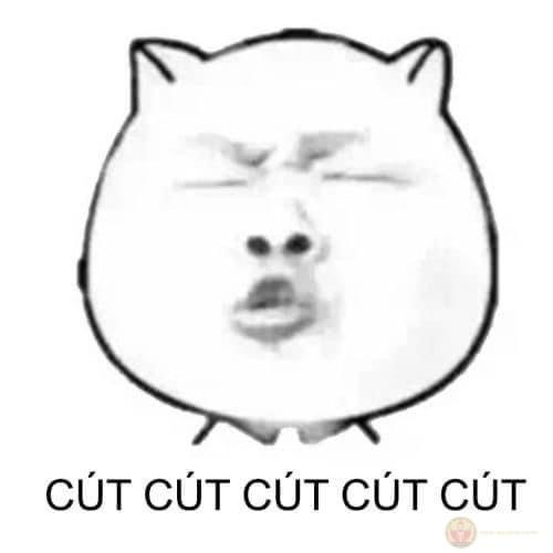 Meme gấu trúc cười