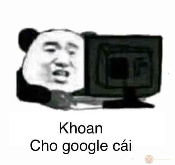 Meme gấu trúc lạy