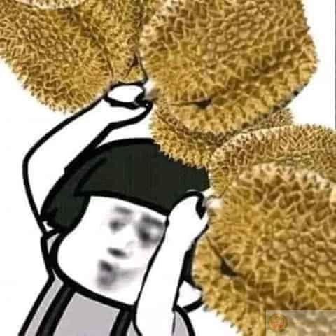 Meme gấu trúc gốc