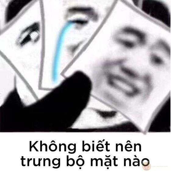 Meme gấu trúc bất ngờ
