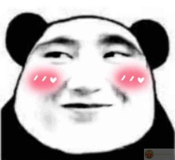 Meme gấu trúc kinh dị