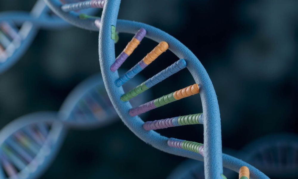 Hiện tượng vợ chồng trùng gen xảy ra khi cả hai vợ chồng đều mang cùng một đột biến gen hoặc gen bị lỗi liên quan đến một bệnh lý di truyền.