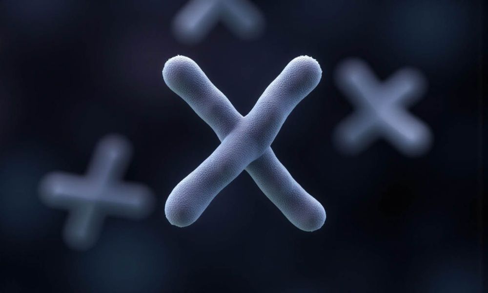 Vợ chồng trùng gen là gì? Vì sao cần sàng lọc gen?