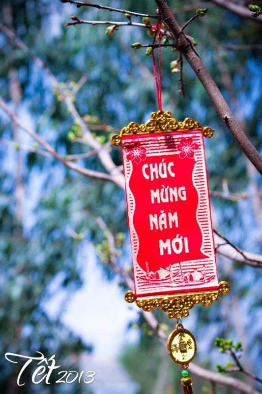 Lời chúc gửi gắm điều gì?