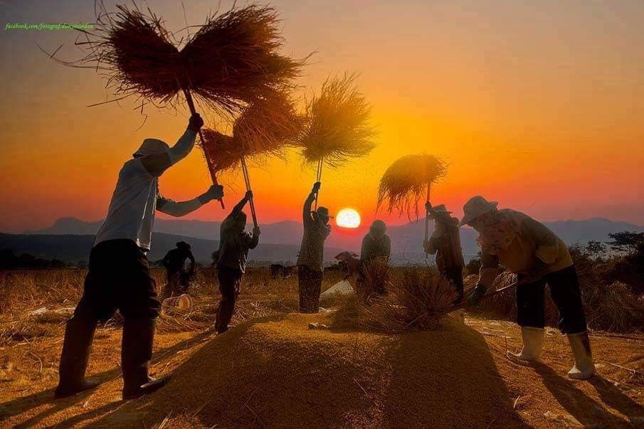 Hình nền quê hương hương việt nam với mặt trời lặn bên trên đê