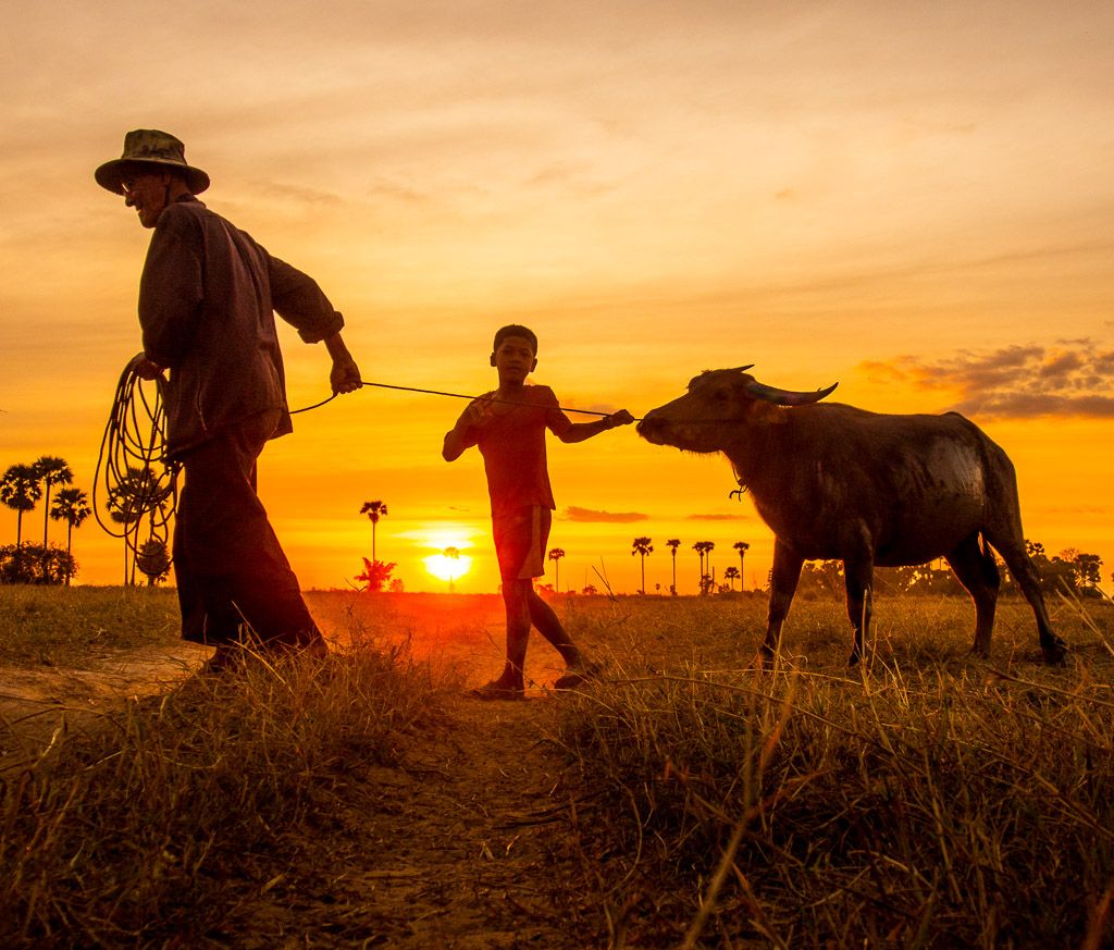 Ảnh đồng quê chill trong khoảnh khắc ngày tàng lặng lẽ trôi