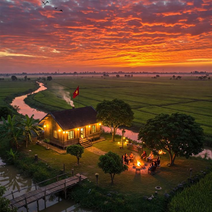 Ảnh đồng quê chill buổi sáng sớm với ruộng lúa mờ sương