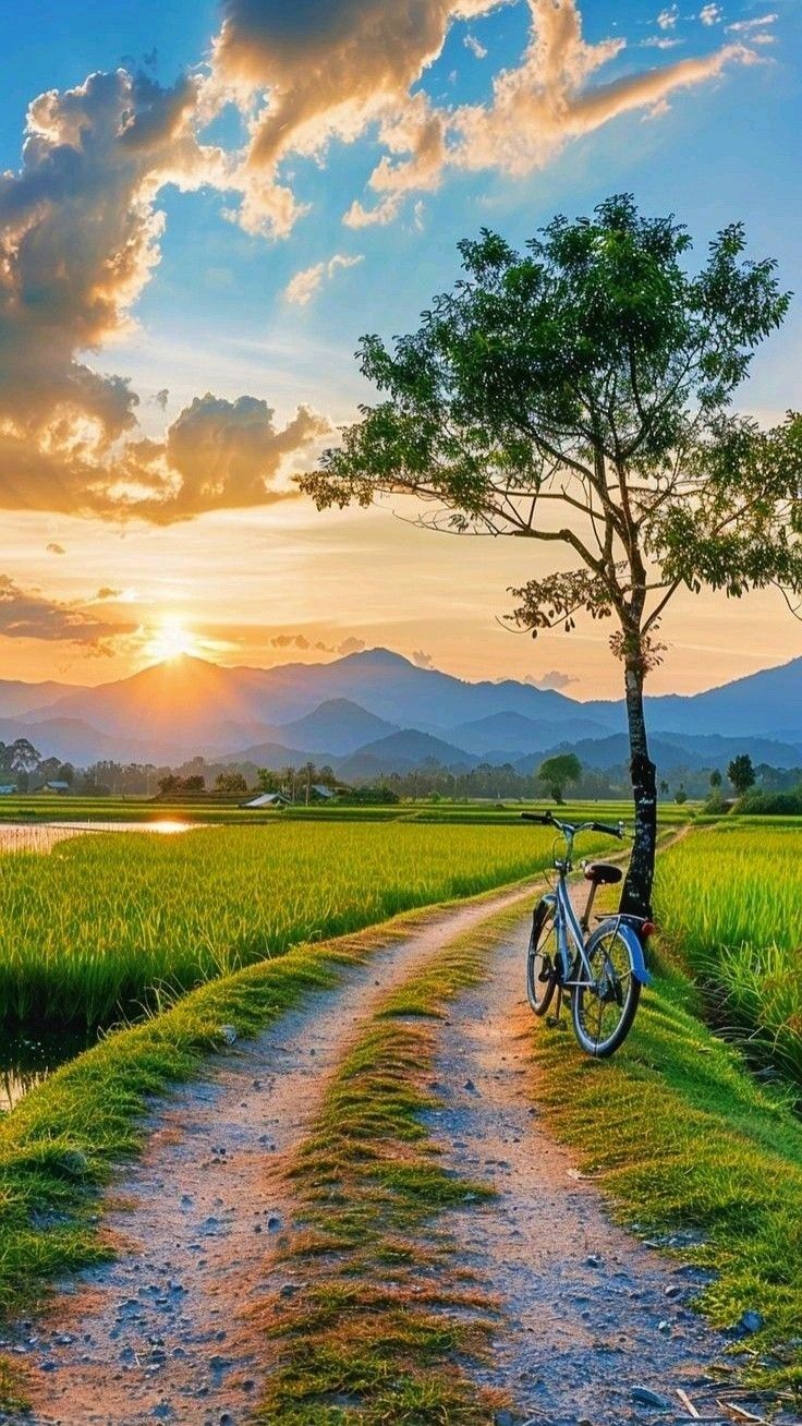 Hình ảnh đồng quê đẹp nhất khi mặt trời còn chưa lên cao