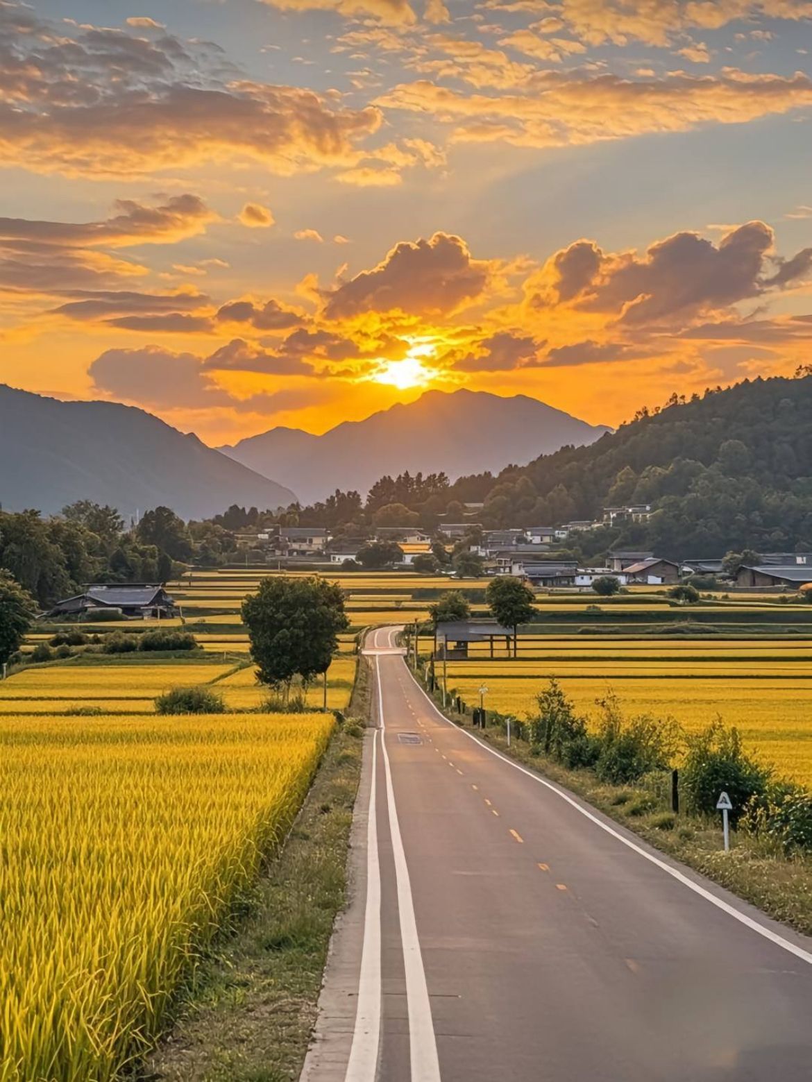 Hình nền quê hương việt nam với cảnh bình minh trên núi đồi