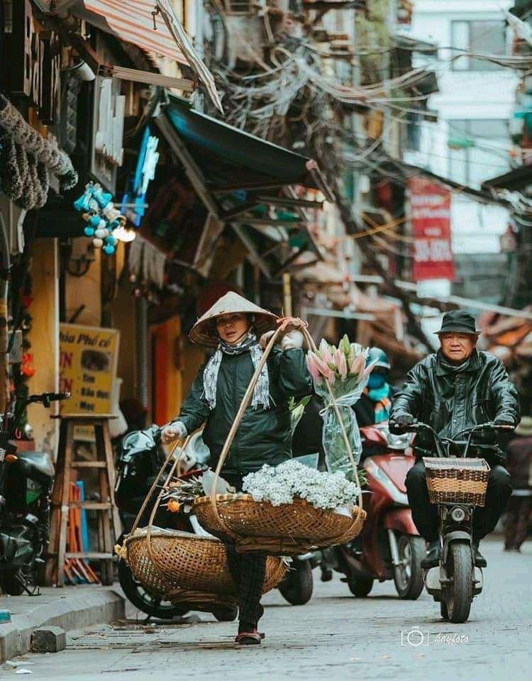 Ảnh đồng quê với ruộng bậc thang mùa lúa chín vàng rực