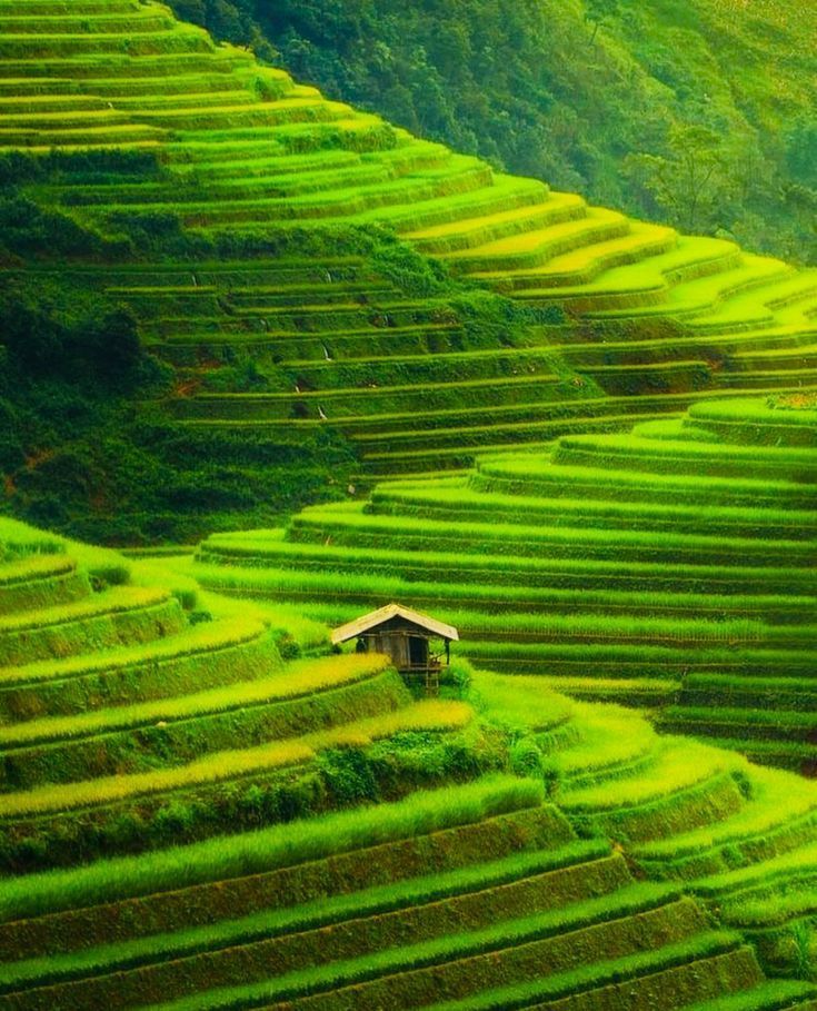 Hình nền quê hương việt nam là ruộng bậc thang mùa nước đổ