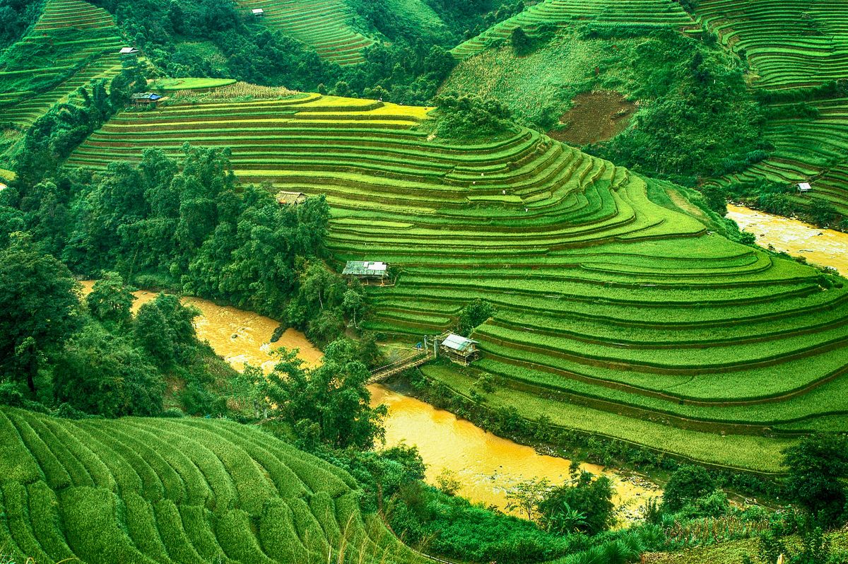 Hình ảnh làng quê yên bình có trẻ em nô đùa giữa bậc thang