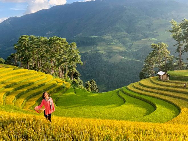 Hình ảnh đồng quê đẹp nhất là sương sớm vỡn ruộng bậc thang