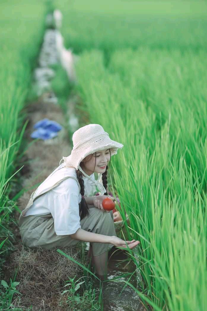 Chill với cảnh quê yên bình