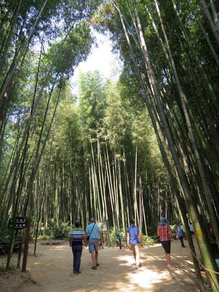 Hình ảnh đồng quê đẹp nhất là lũy tre in bòng mát