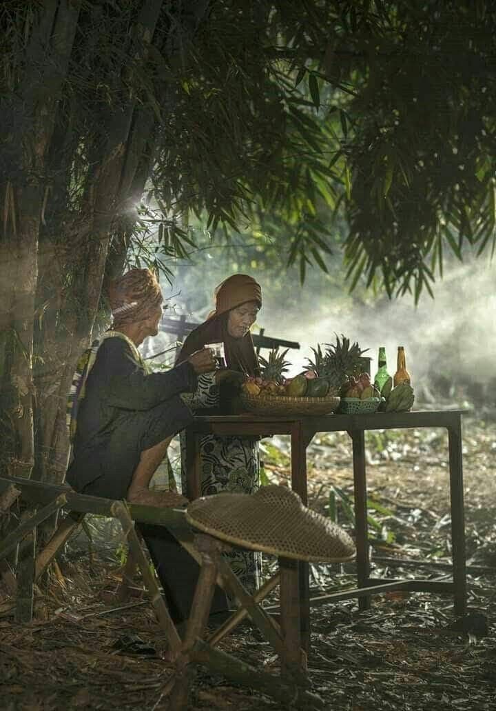 Hình ảnh làng quê thanh bình có bà bán nước dưới lũy tre