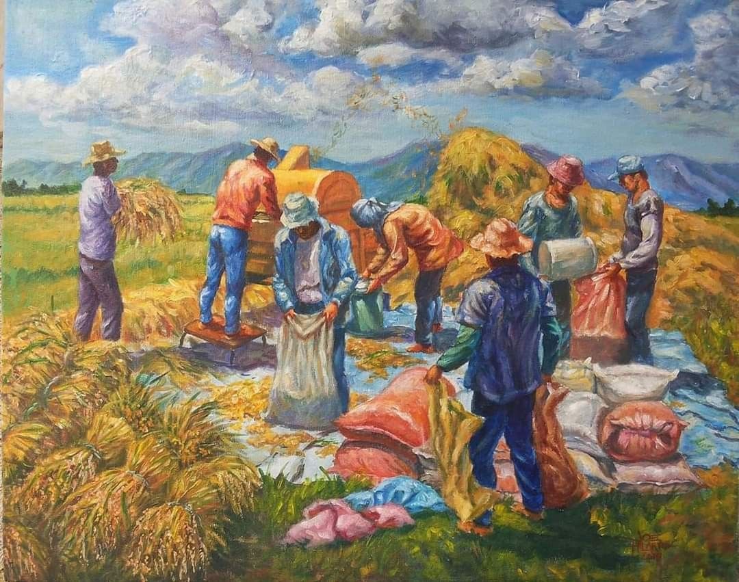 Cảnh đồng quê mùa gặt lúa bình yên và mộc mạc