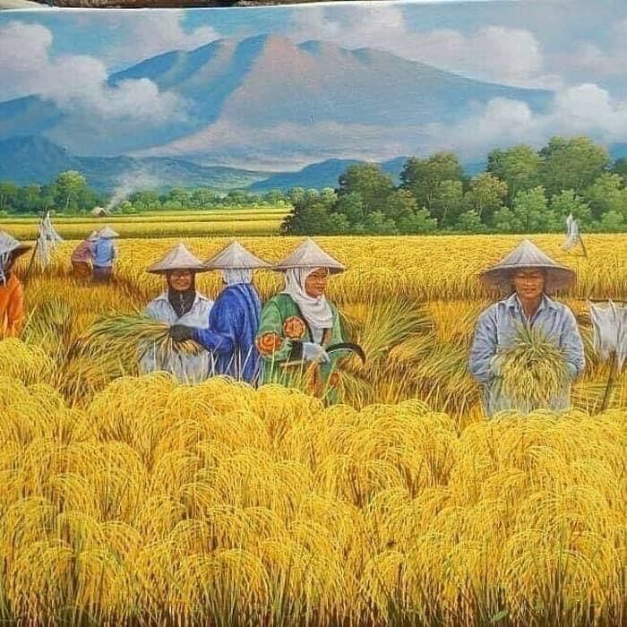 Ảnh đônggf quê chill với ánh nắng sớm chiều lên cảnh đồng gặt