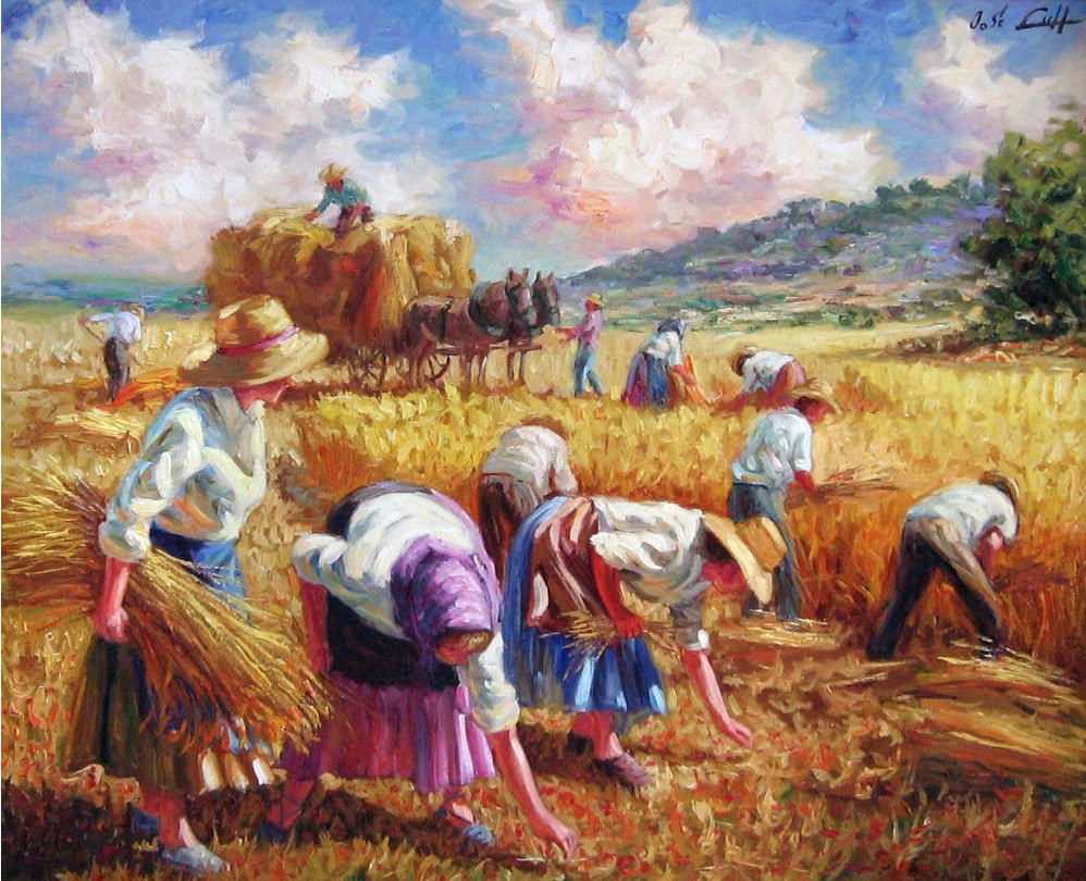 Hình ảnh làng quê thanh bình lúc người dân thu hoạch lúa