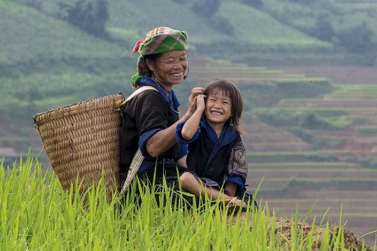 Hình ảnh làng quê thanh bình có đàn cò bay về cuối trời