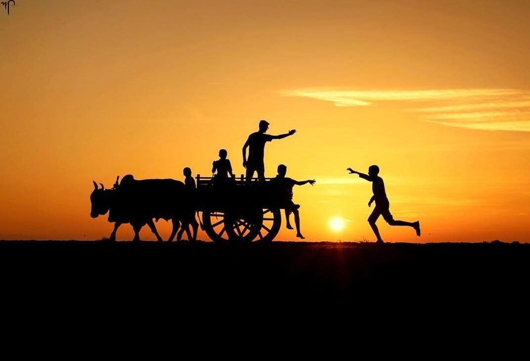 Hình ảnh bình yên ở quê khi hoàng hôn đổ bóng bên ao làng