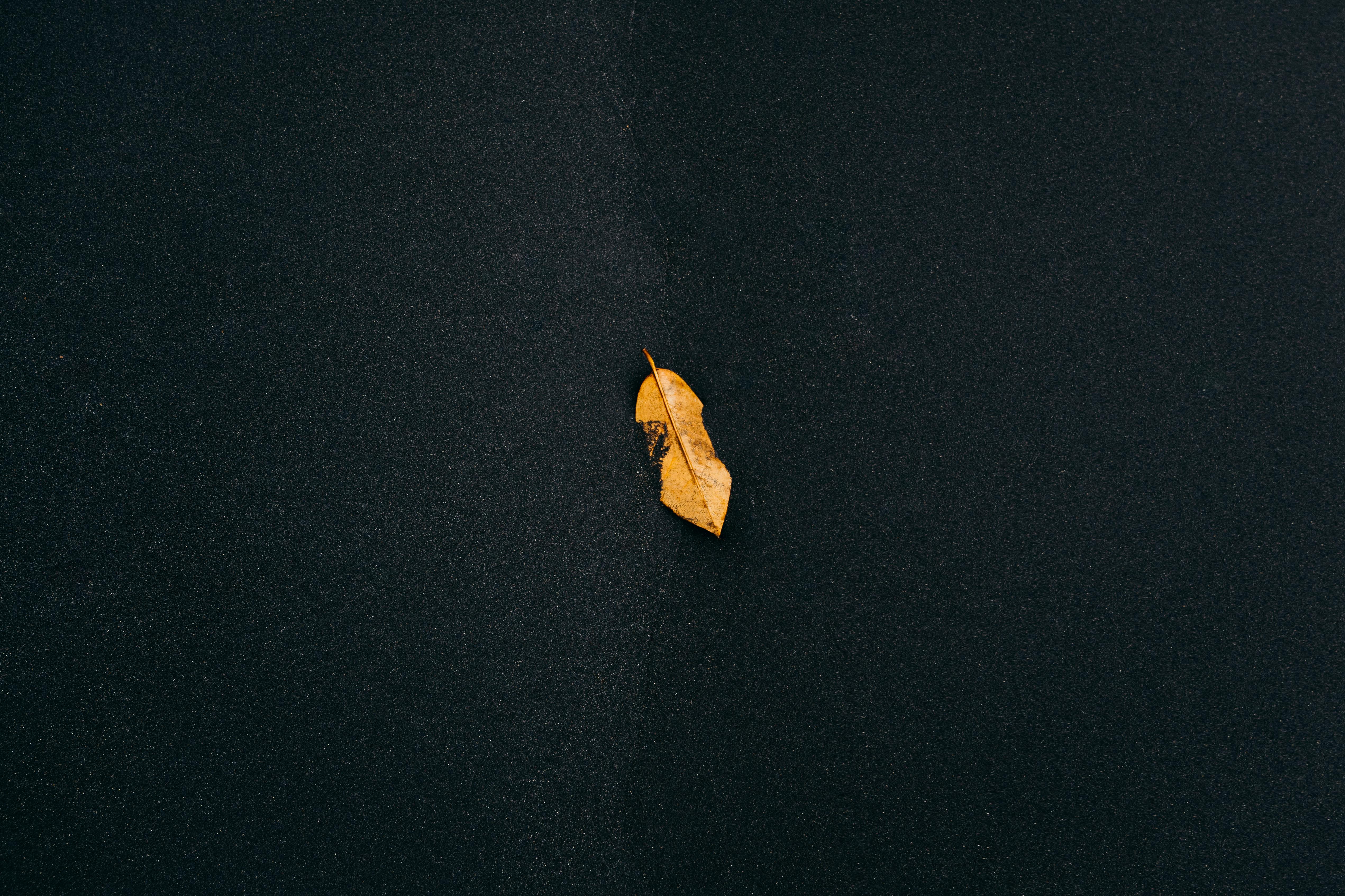 modern black wallpaper