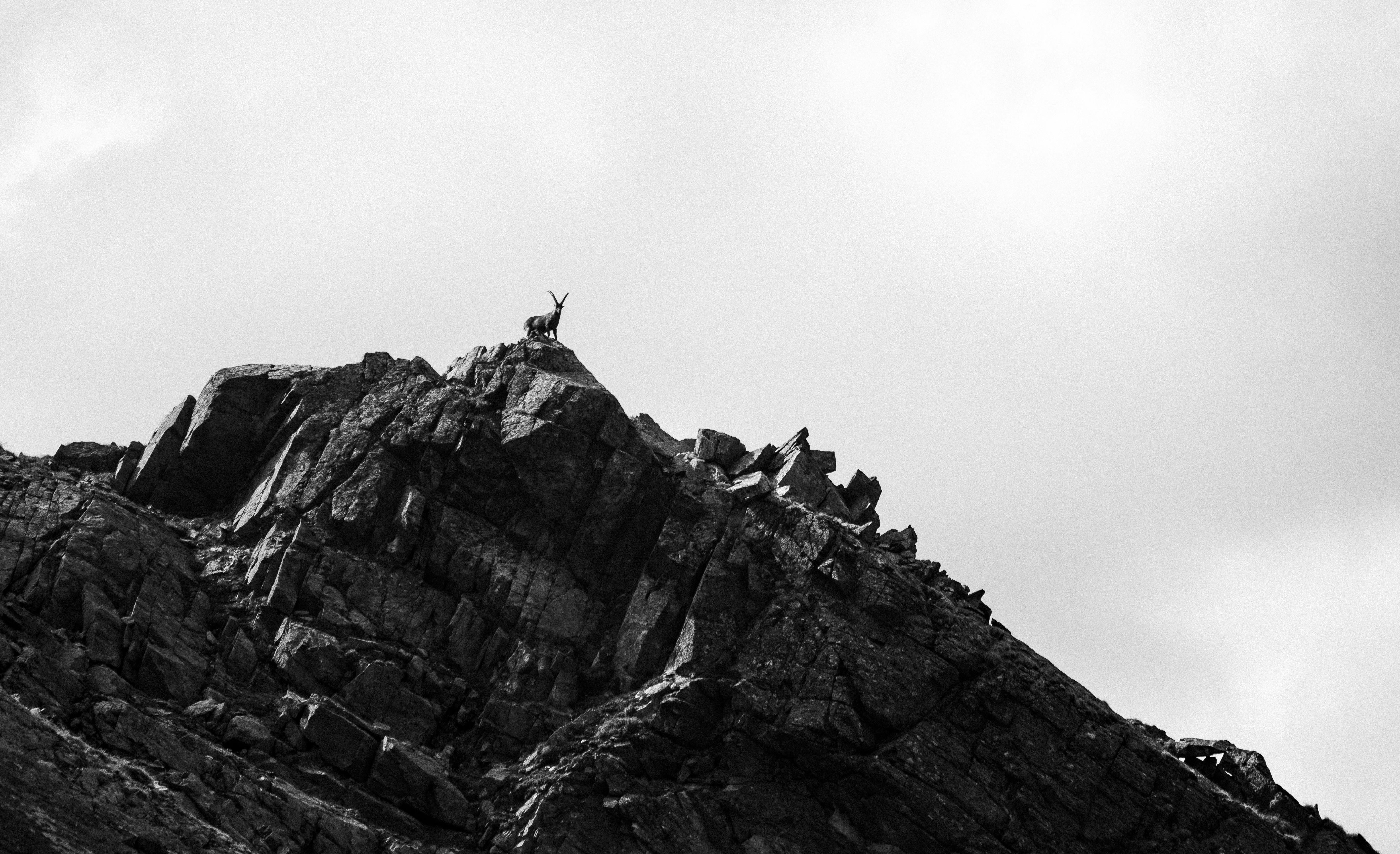 anh nen den cho may tinh