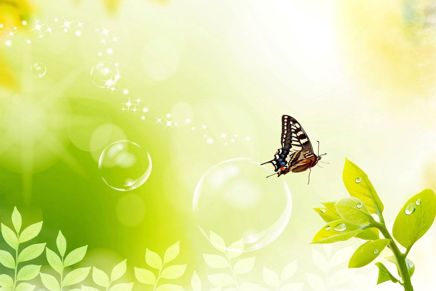 hinh-nen-powerpoint-xanh-la-22