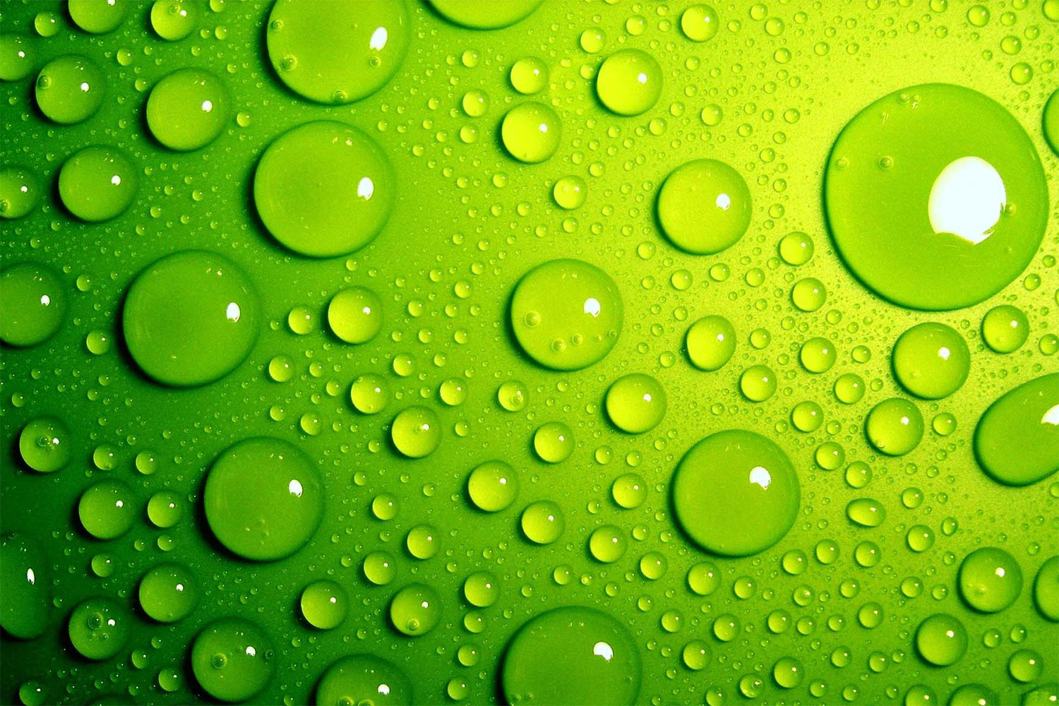 hinh-nen-powerpoint-xanh-la-14