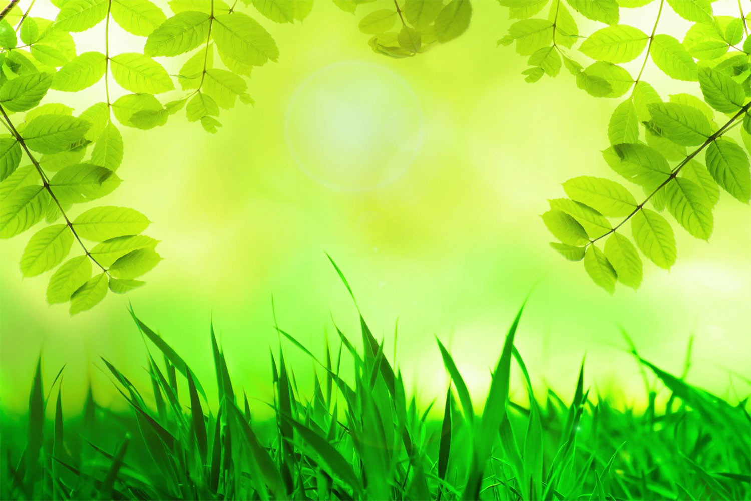 hinh-nen-powerpoint-xanh-la-4