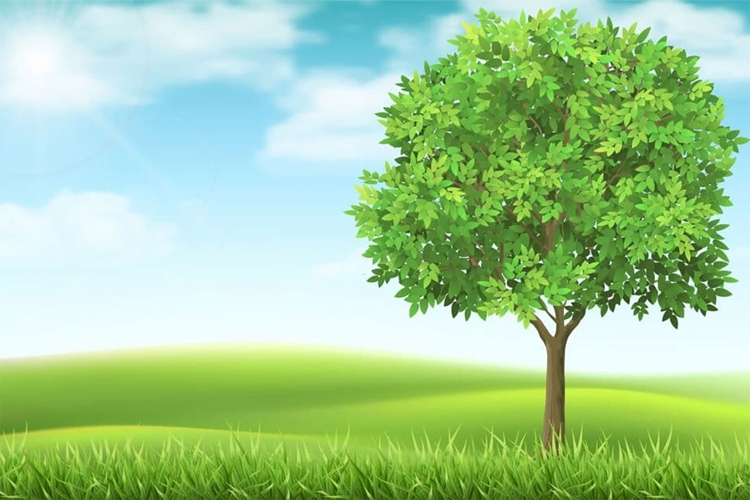 hinh-nen-powerpoint-xanh-la-27