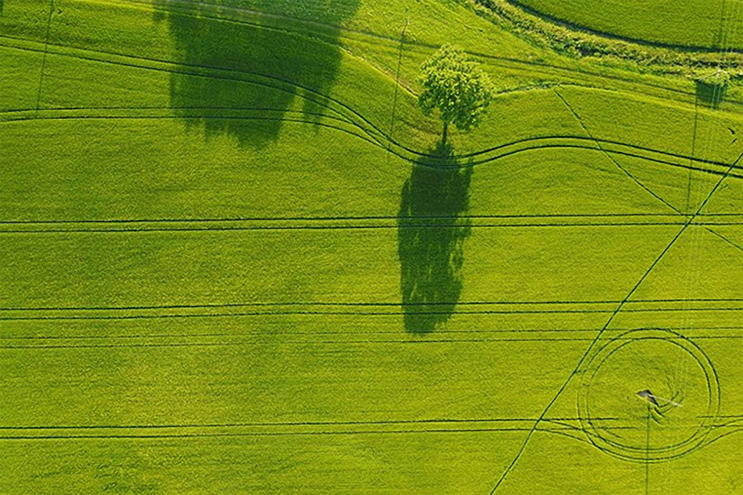 hinh-nen-powerpoint-xanh-la-32